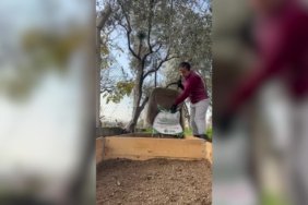 1c038a8d4a5f9429f42cea6da554ebca